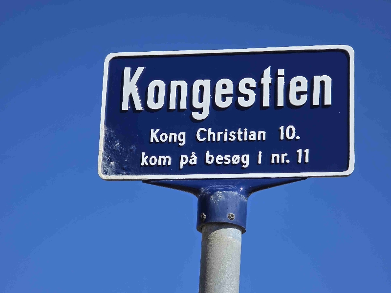 Kongestien