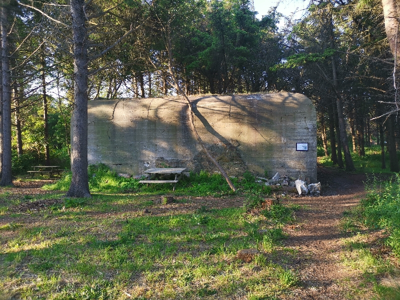 Løkken Bunkersti