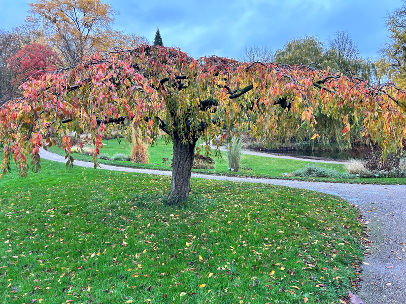 Frederiksberg i årstal