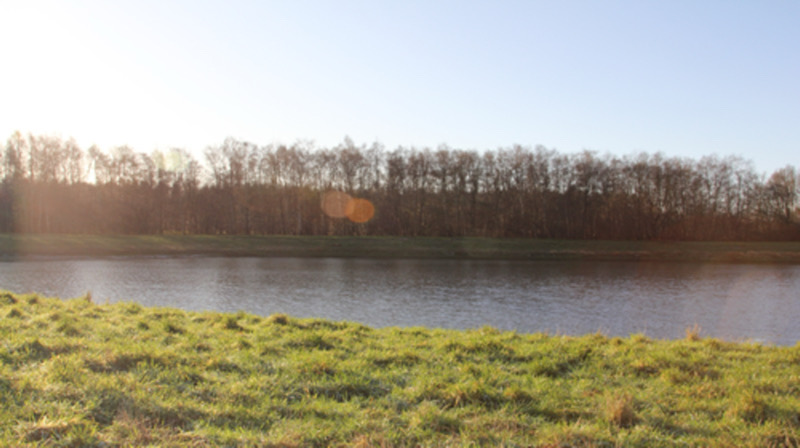 Vestskoven rundt