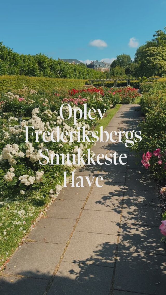 Den gamle havemand